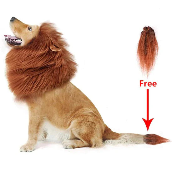Lion Dog Costume™