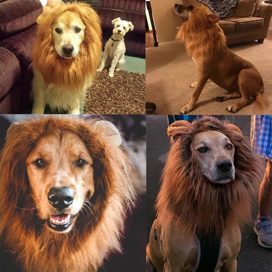 Lion Dog Costume™